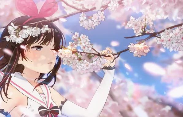 Spring, Sakura, Branch, Girl, a.i. channel