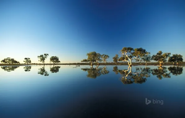 The sky, water, trees, reflection, spill, Australia