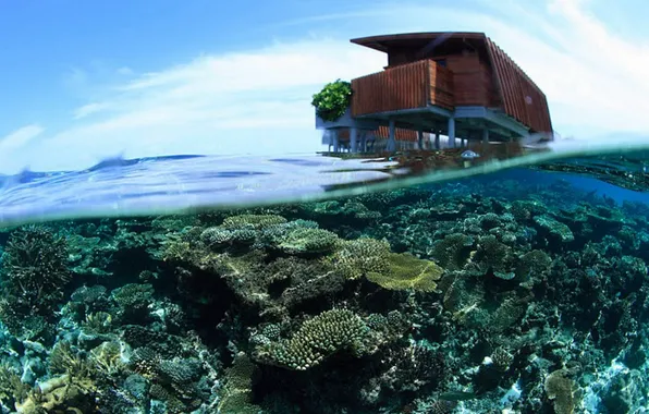 Water, transparency, house, the ocean, Laguna