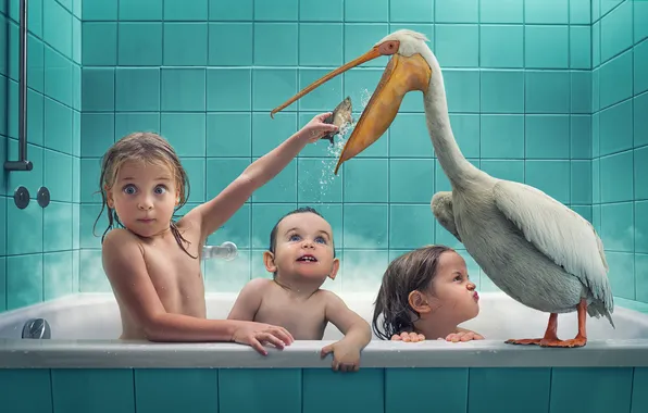 Picture children, bird, fish, bath