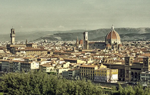 Picture home, Italy, panorama, Florence, Duomo