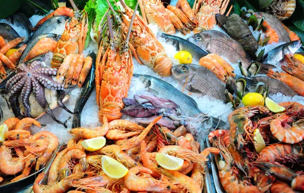 Lemon, fish, Omar, squid, shrimp, seafood