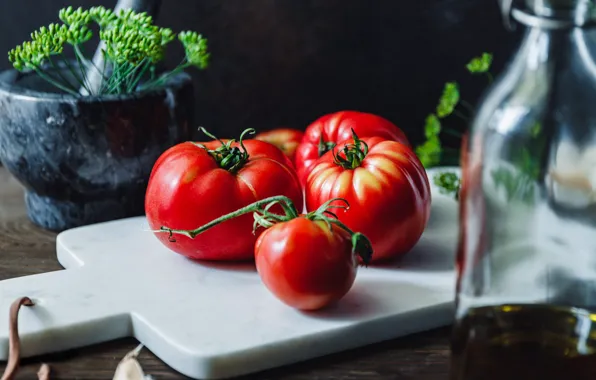 The dark background, table, bottle, oil, food, dill, red, vegetables