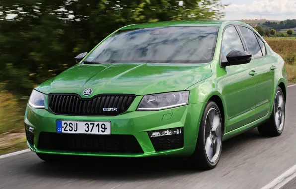 Picture road, asphalt, movement, vegetation, green, sedan, roadside, Skoda