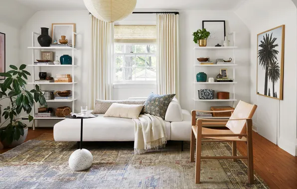 Design, style, room, plant, interior, chair, sofa, living room