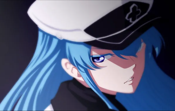 Esdeath HD wallpapers | Pxfuel