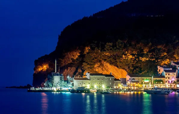 Sea, trees, mountains, night, lights, rocks, shore, boat