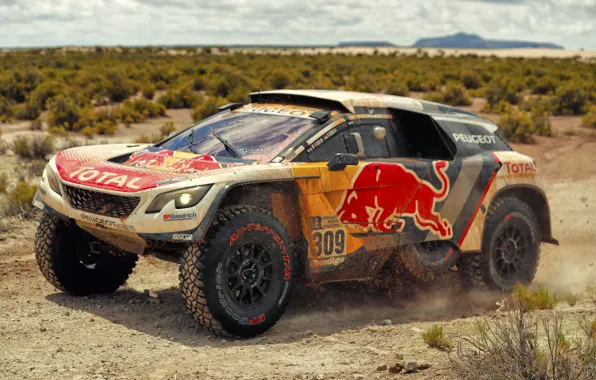 Auto, Sport, Machine, Speed, Race, Peugeot, Red Bull, Rally