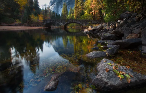 Picture autumn, forest, trees, bridge, nature, river