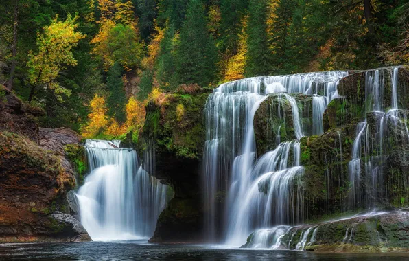 Picture autumn, trees, lake, rocks, waterfall, stream, USA, Washington