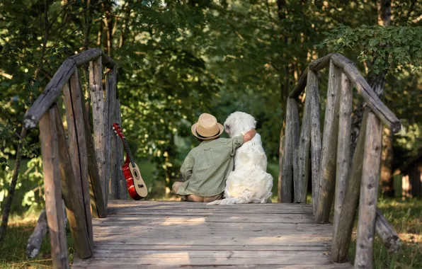 Nature, guitar, dog, boy, the bridge, friends, child, dog