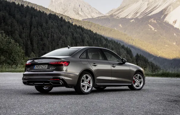 Forest, Audi, sedan, side, Audi A4, 2019