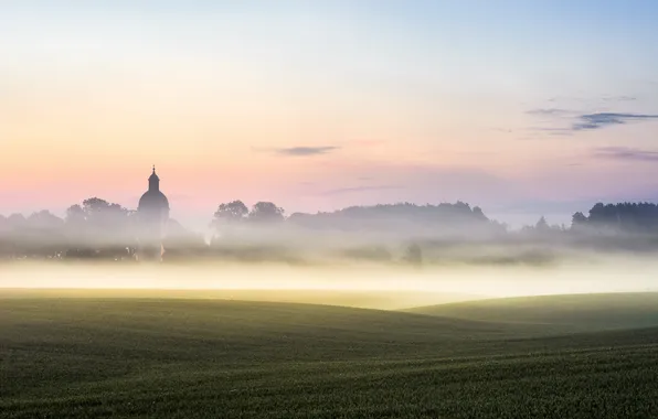 Picture field, fog, morning