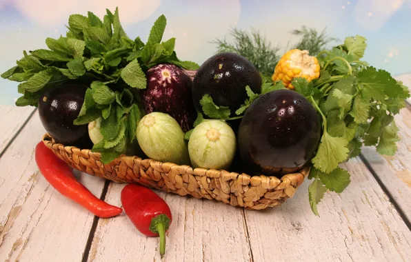 Garden, kitchen, food, vitamins, zucchini, bio
