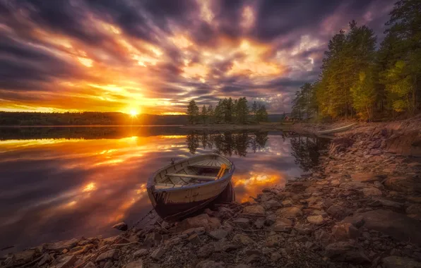 Picture trees, sunset, lake, boat, Norway, Norway, RINGERIKE, Ringerike