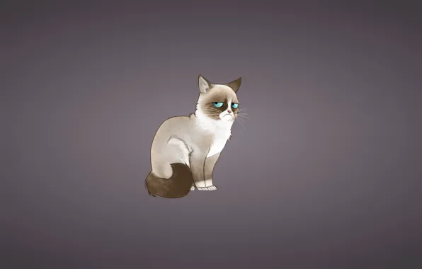 Cat, cat, minimalism, Tartar Sauce, Grumpy Cat, Tardar Sauce, Grumpy Cat