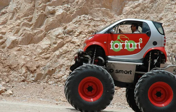 Wheel, hybrid, Smart, forfun