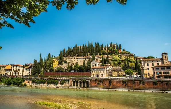 Picture the sky, the sun, trees, branches, river, home, Italy, Verona