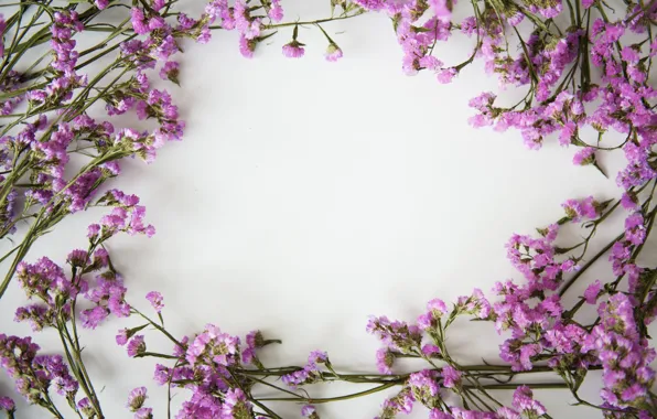 Flowers, background, frame, flowers, purple, violet, frame