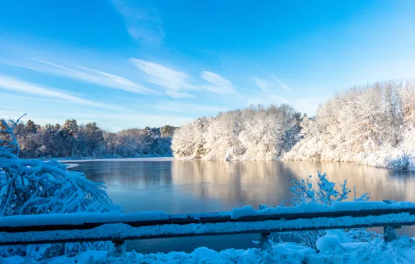 Winter, frost, forest, clouds, snow, branches, fog, lake