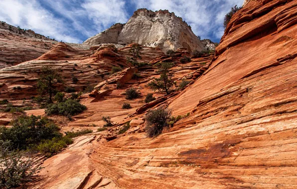 Clouds, mountains, nature, rocks, Utah, USA, Zion National Park, National Park