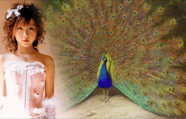 Picture, art, beauty, ART, bird, pretty, beauty, singer