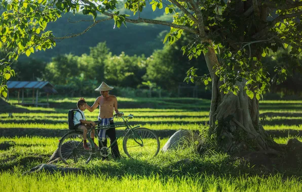 Field, landscape, child