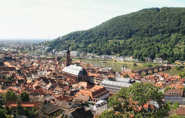 The city, photo, home, Germany, top, Heidelberg