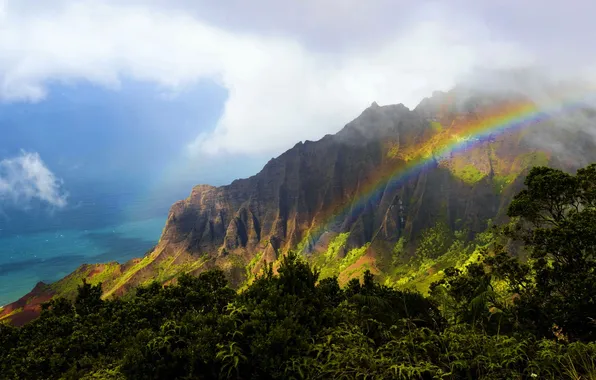 Forest, mountains, rainbow