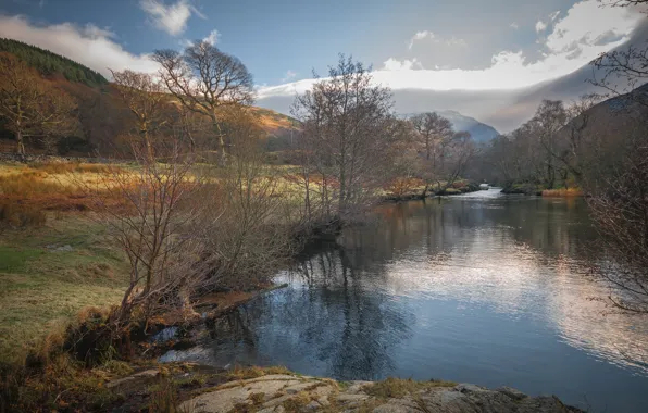 Trees, mountains, lake, Wales