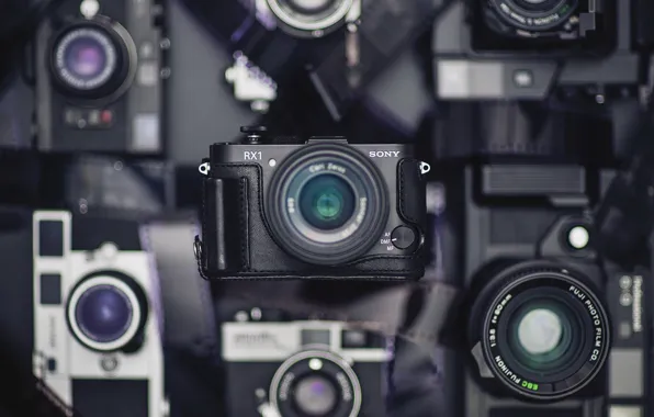 Macro, background, camera