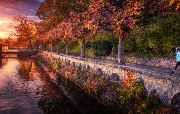 Trees, river, treatment, alley, Sunset walk