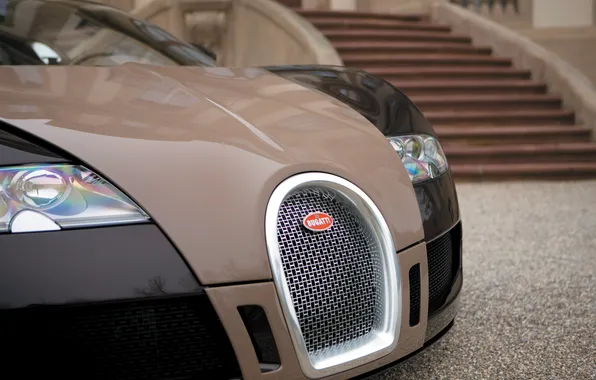 House, lights, icon, veyron, before, steps, bugatti, radiator