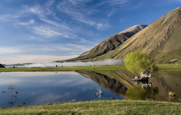 Picture grass, clouds, fog, lake, reflection, tree, mountain