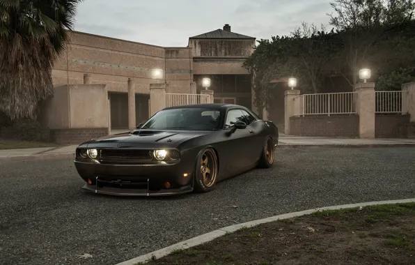 Picture Muscle, Dodge, Challenger, Car, Front, Black, Matte, Tuning