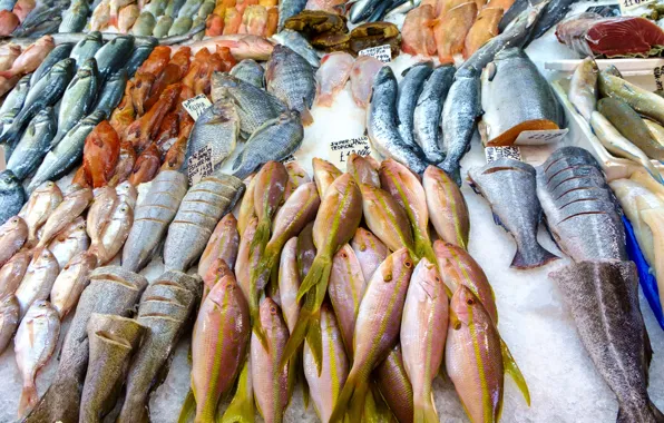 Picture fish, variety, frozen meat