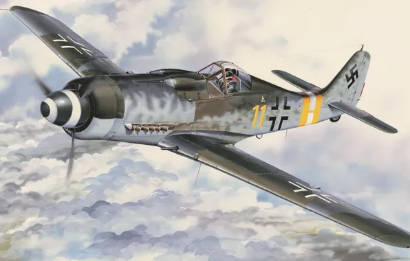 Germany, fighter-bomber, the Wehrmacht, Luftwaffe, Vlastimil Suchy, Focke-Wulf Fw190D-9