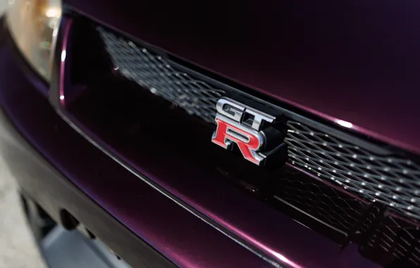 Picture logo, Nissan, GT-R, Skyline, R33, Nissan Skyline GT-R, badge