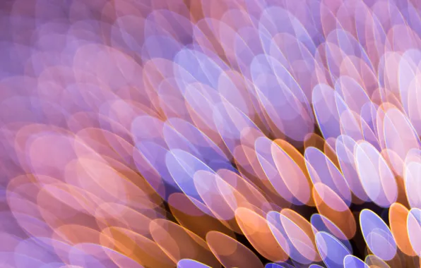 Light, color, Blik, the volume, oval