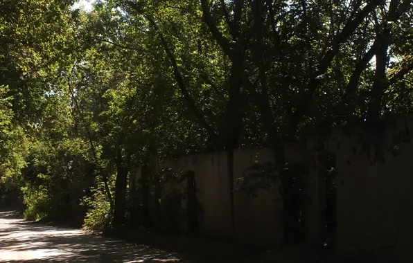 Trees, wall, the fence, shadows, twilight