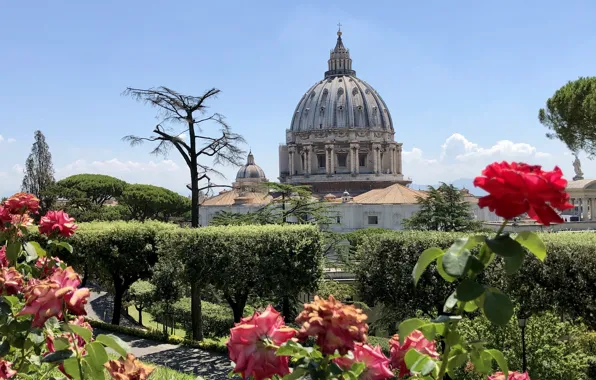Picture flowers, Park, The Vatican, St. Peter's Cathedral, Vatican Gardens