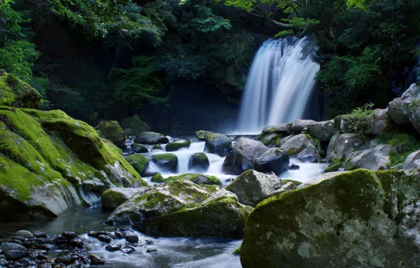 Summer, trees, branches, nature, stones, thickets, foliage, waterfall