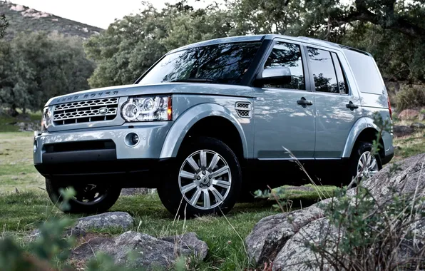 Picture grass, trees, stones, jeep, SUV, Discovery, Land Rover, the front