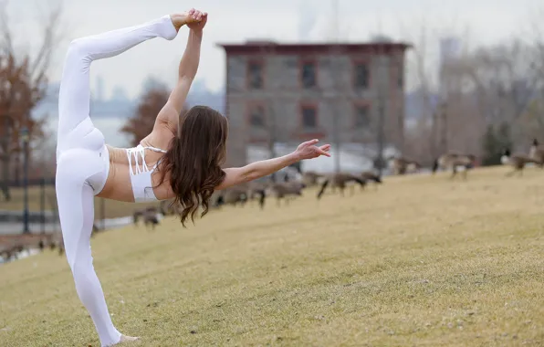 Girl, pose, flexibility, body, figure, legs, lawn, exercise