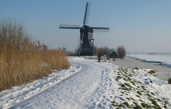 Picture snow, holland, kinderdijk, winter landscape, cold temperature, molina