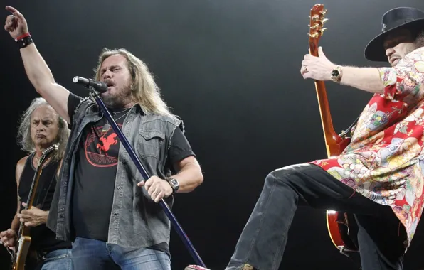 Rock, speech, Lynyrd Skynyrd, Oldies, south rock