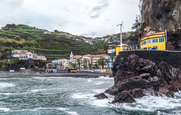 Picture sea, beach, palm trees, rocks, coast, home, Portugal, Ponta Do Sol