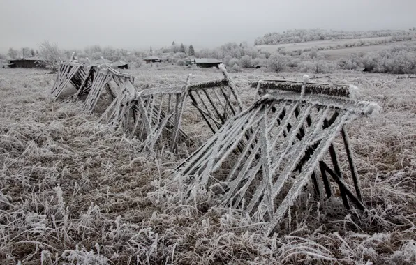 Field, protection, late autumn, the snow-covered grass