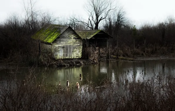 Picture nature, pond, house