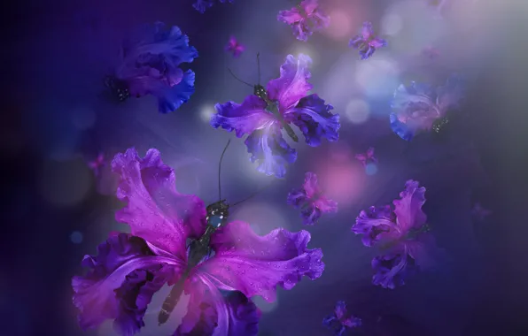 Butterfly, petals, water, purple, butterflies, floral